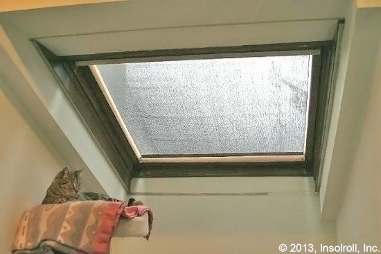 fixed shade application-same window treated