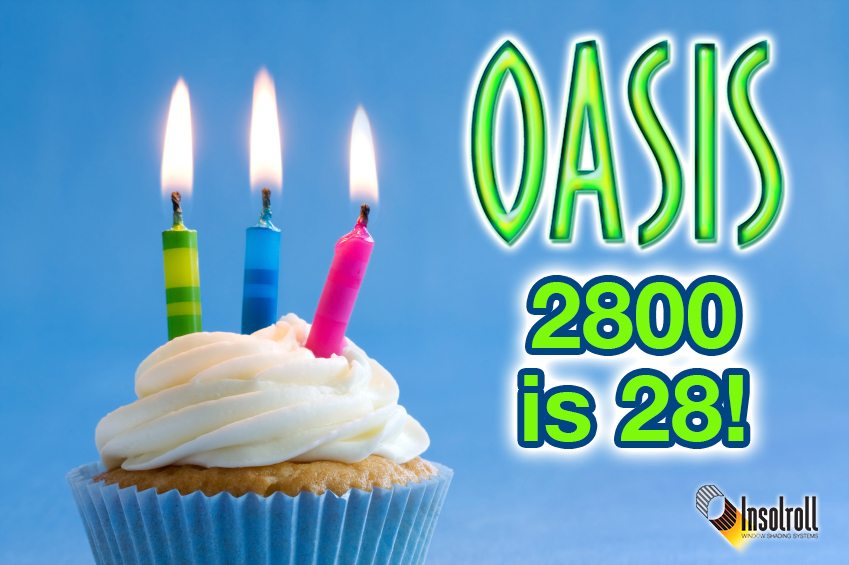 Birthday cupcake