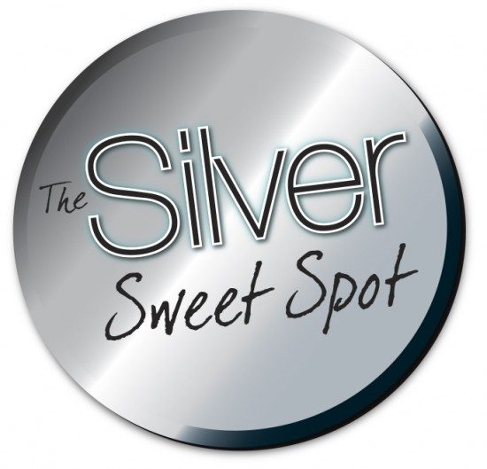 Silver Sweet Spot High Performance Fabric