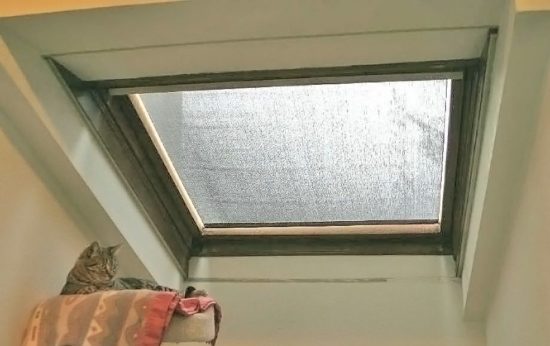 fixed shade application-same window treated