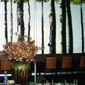 restaurant aspen trees printed shades
