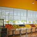 Insolroll commercial solar shades grocery store