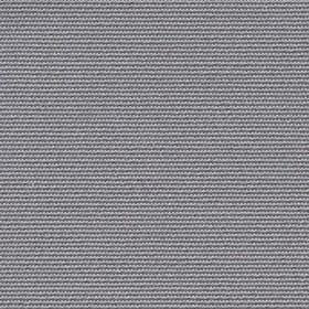 Porpoise