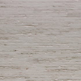 Plank