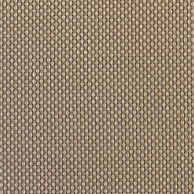Beige/Grey